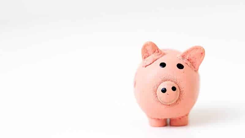 Savings piggy bank