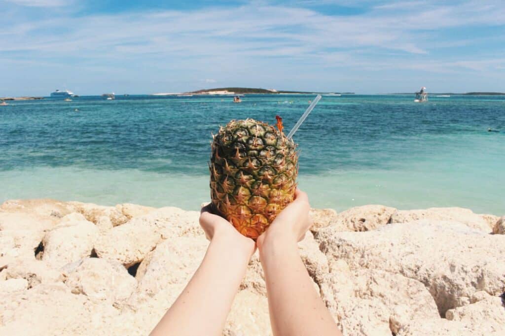 Pineapple in the Bahamas - Best Time to Cruise to the Bahamas