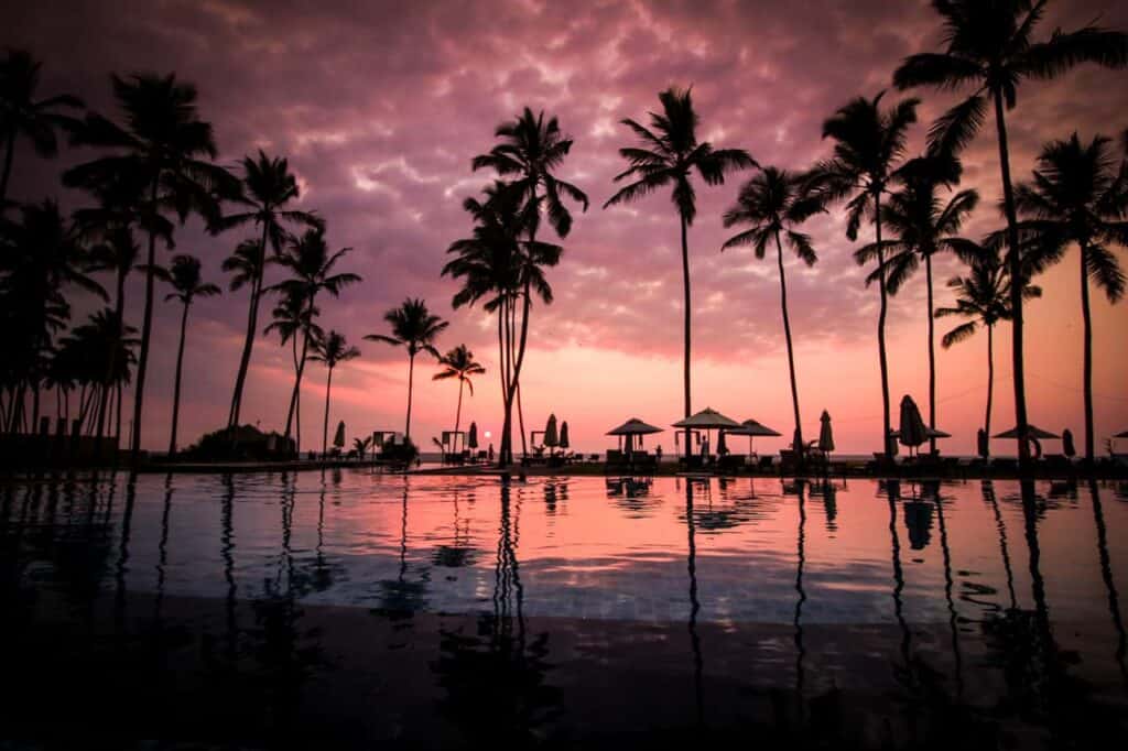 Sunset and palm trees - Best Time to Cruise to the Bahamas