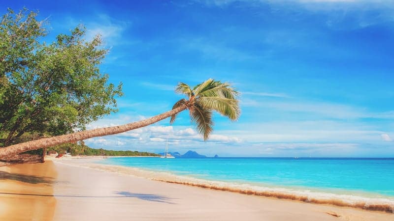 Caribbean beach - Best December Cruise Destinations