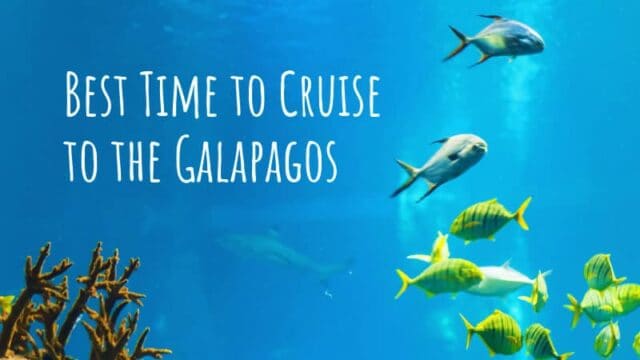 Best Time to Cruise to the Galapagos