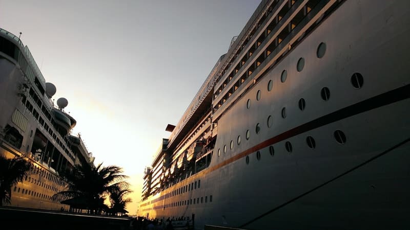 Palm trees between Cruise Ships