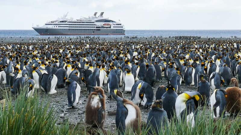 Penguin rookery in Antarctica with cruise ship in the background - Best Antarctica Cruise Lines