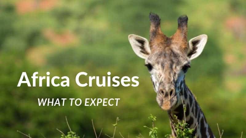 Cruises to Africa giraffe.
