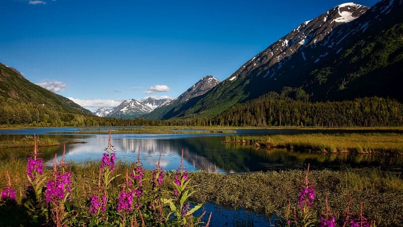 Chugach National Forest near Valdez, Alaska