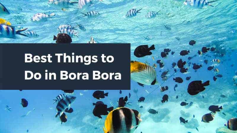 9 Best Things to Do in Bora Bora fish underwater.