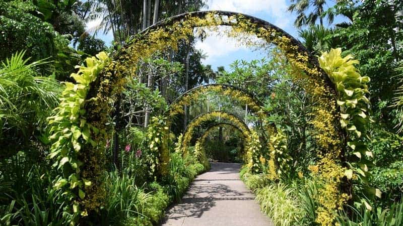 Singapore Botanic Garden