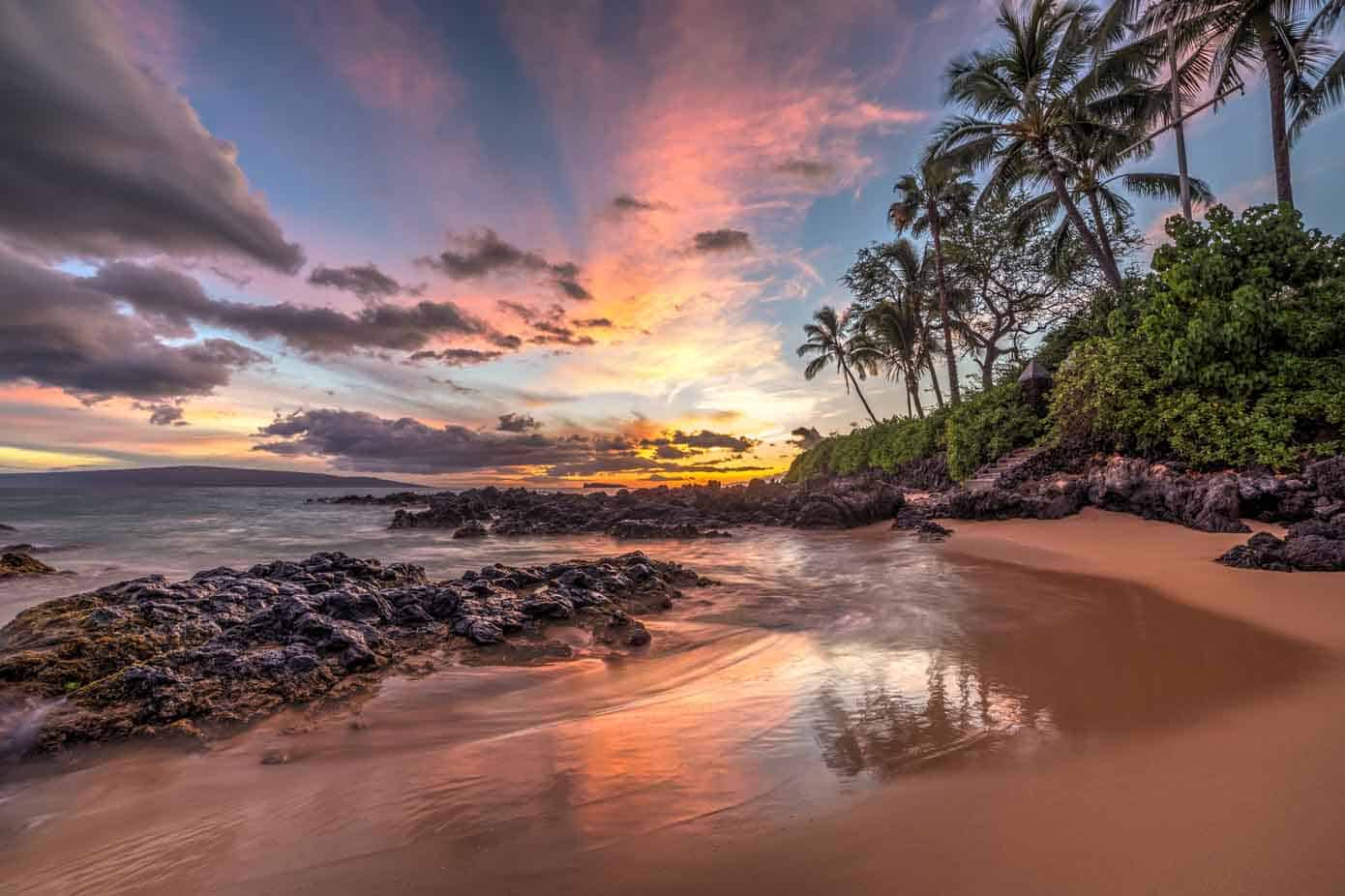 Gorgeous beach cove lined with palm trees during sunset in Hawaii.