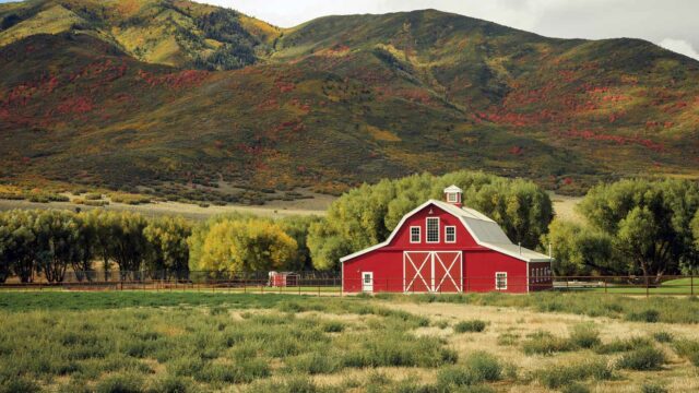 Viking: America’s Heartland