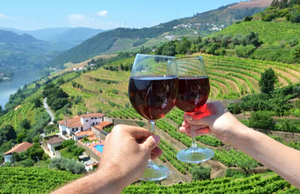 Sharing wine at the vineyards in Douro River Valley, Portugal.