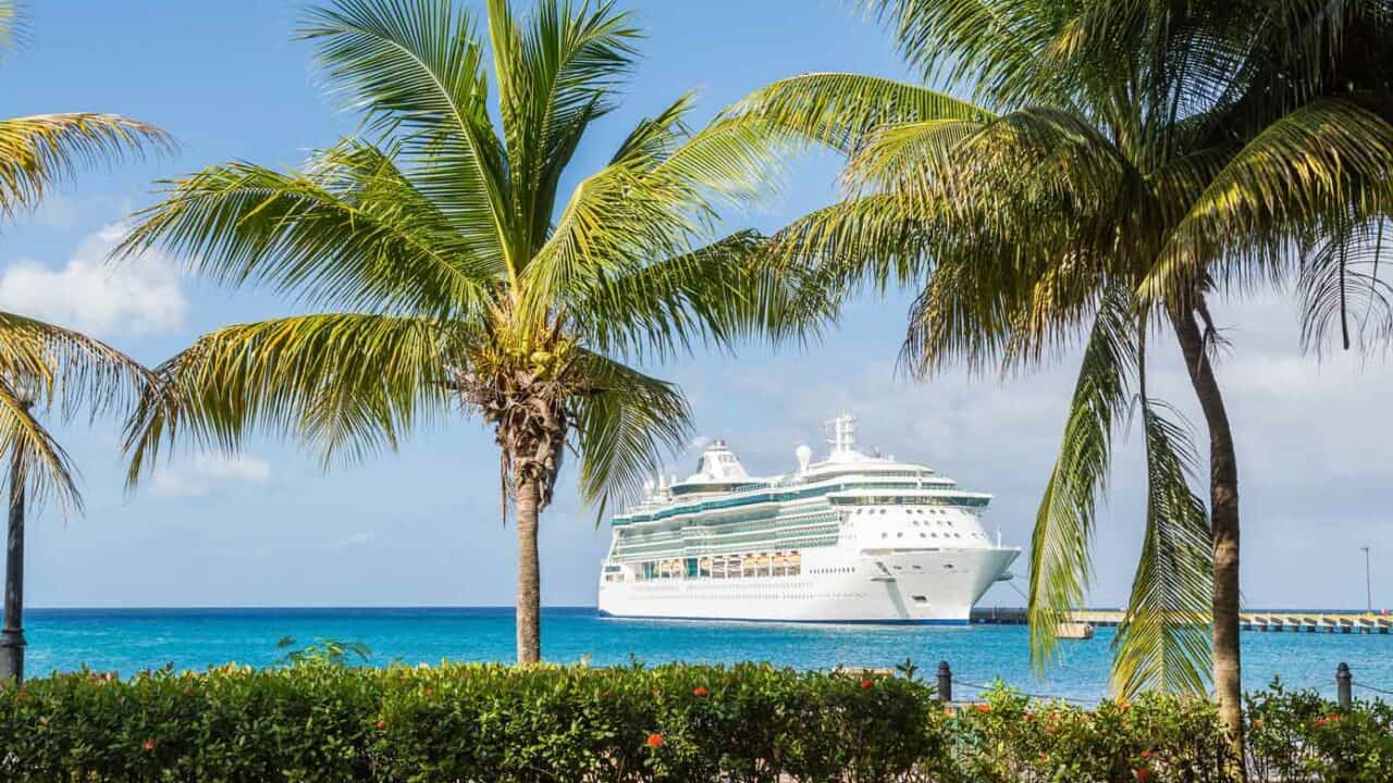 A cruise ship is docked off shore behind palm trees in a tropical place.