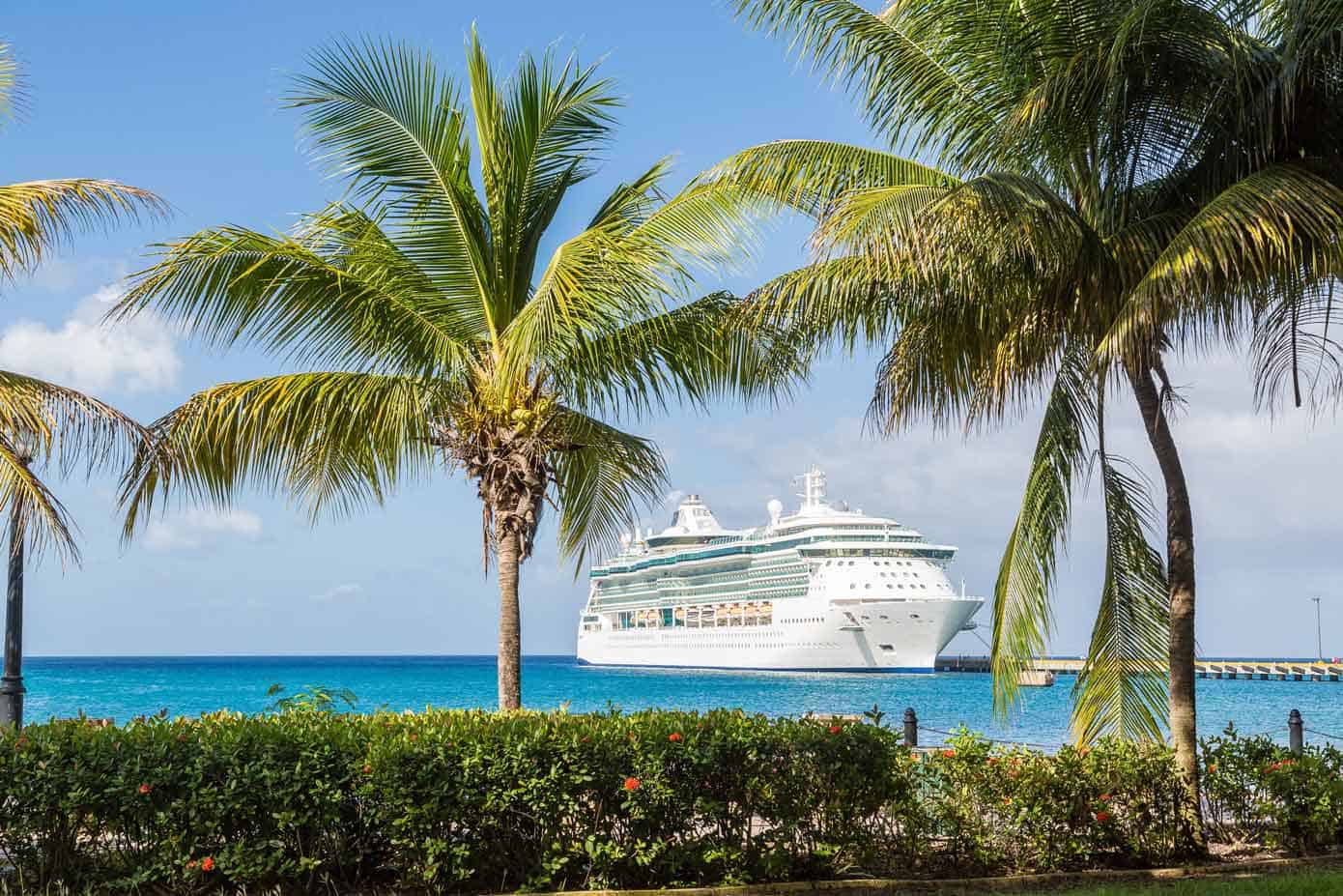 A cruise ship is docked off shore behind palm trees in a tropical place.