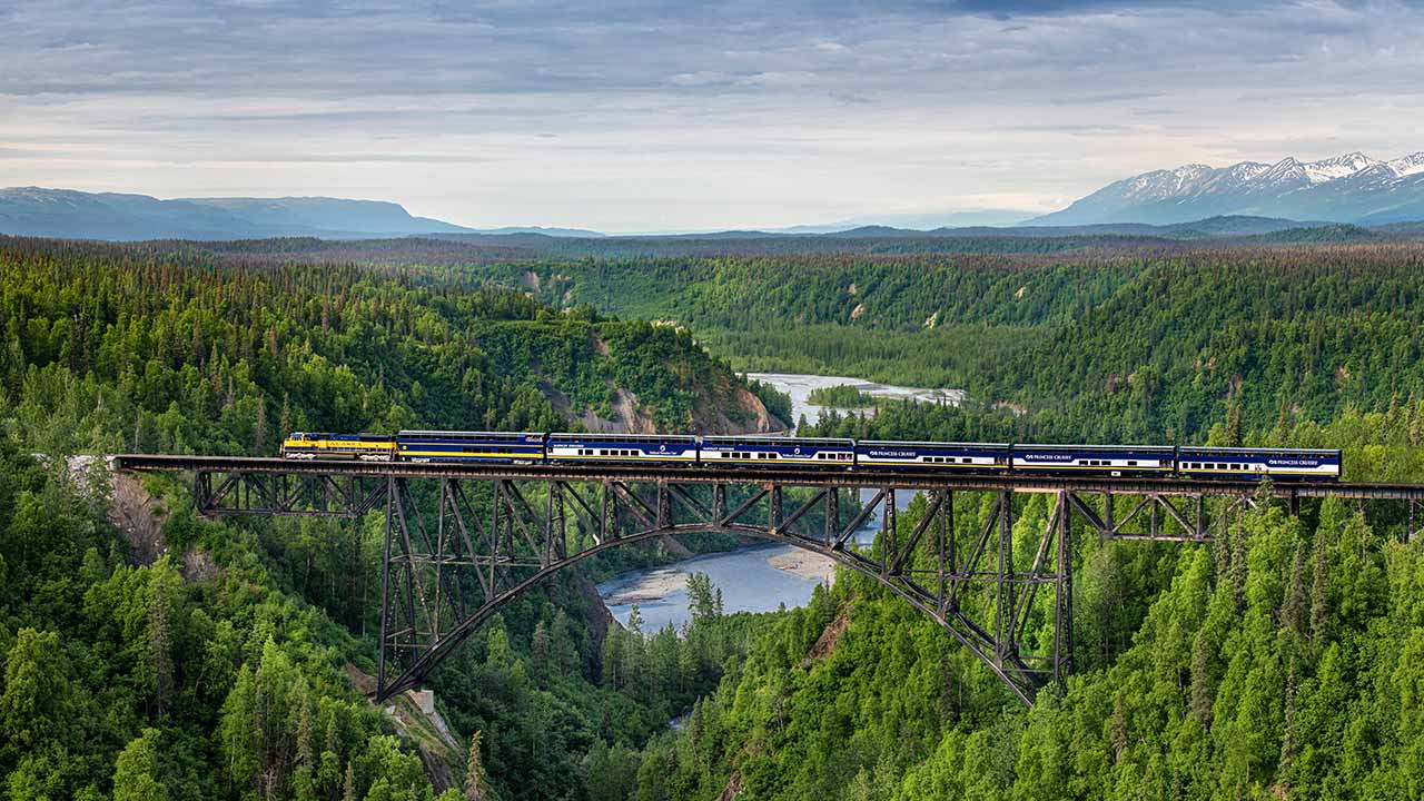 Alaska rail line on a Princess Alaska cruise tour.