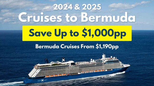 Celebrity: Bermuda 2024 and 2025
